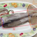 식재료를 이용한 과학공부 - 오징어 해부하기 이미지
