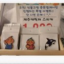 원시선물고팡 - 제주시 월성로 15 | 원시선물고팡