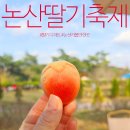 원산도 체육공원 푸드존 | 2026 논산딸기축제 일정 가수 주차 봄축제 후기 충남 논산 가볼만한곳