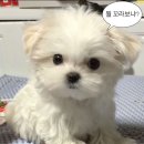 월