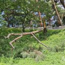 삼호교 화장실 이미지