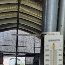 대박4농장 이미지