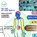 동산글로벌 티스토리