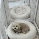 포미포밍 이미지