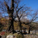 평촌마을회관 이미지