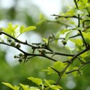 고갯마루 이미지