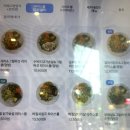 [종각] : 종로 다이어트 포케 맛집 힛더밥 방문 후기 l 메뉴 및 가격 정리