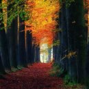 인트로(Intro) 이미지