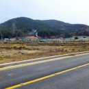 기장군복군기념비 이미지