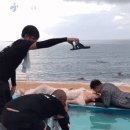 아모르코