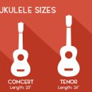 우쿠렐레(중급) 이미지