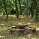 동호마을 이미지