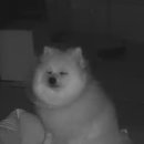 서진동물병원 이미지