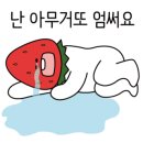 또리문방구 이미지
