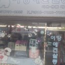 이향애견살롱 이미지