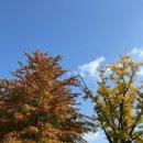 신원동-12 이미지