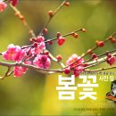 사진연구소 이미지