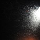 거북이민박 이미지