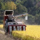 진안읍 1357 이미지