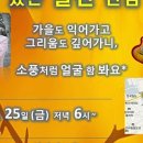 디자인 문영
