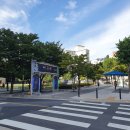 효돈약국 | 9월 마지막 주 + 10월 이틀 : 집찾아 삼만리