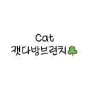 캣다방 이미지