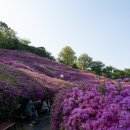 GM24편의점 네이버블로그