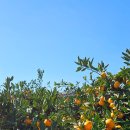 둘만농장 이미지