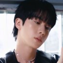 하이마리 네이버블로그