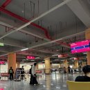 142 | 대한항공 인천 ↔ 중국 시안(서안) KE141 KE142 직항 좌석 기내식 탑승 셴양 국제공항 후기