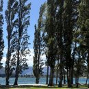 뉴질랜드 남섬 뚜벅이 혼여 와나카(Wanaka) 호수 1박 전격후기(feat.Rippon winery 무료시음 전격후기까지)