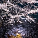 병산로 이미지