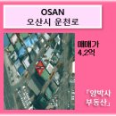 양박사부동산공인중개사사무소 이미지