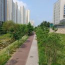 거성공인중개사사무소 이미지