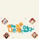 뽀삐네 네이버블로그