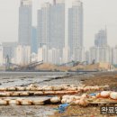 송도갯벌 이미지