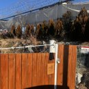 잭큐몬티562 | 경북촌캉스숙소 캠핑감성 가득한 영천 독채펜션 잭큐몬티562 후기