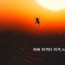 아싸유통