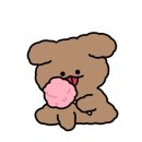 송파 마리동물병원 이미지