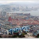 서진종합 건축사사무소 이미지