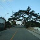 진도농협 주유소 이미지