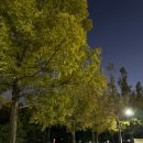 종합운동장 보조경기장 화장실 이미지