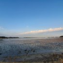 씨맨하우스 이미지