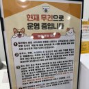 댕냥마트 이미지