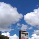 코리아나당구장 이미지