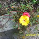 번영수산 이미지