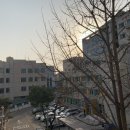 스마트톡톡 | 📖 나만의 포토북 만들기 전 필수! 사진 스캔으로 품질 높이기 | 스마트메모리즈