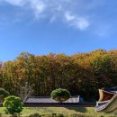 황정리 대흥사 위 | 가을 단풍이 예쁜 단양 황정산 미륵대흥사 템플스테이 후기.