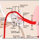 안면약국 이미지