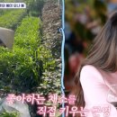 김용준농장 이미지